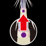 Duel LQ(LENS EGI W/INVISIBLE CLOTH) Squid Jig