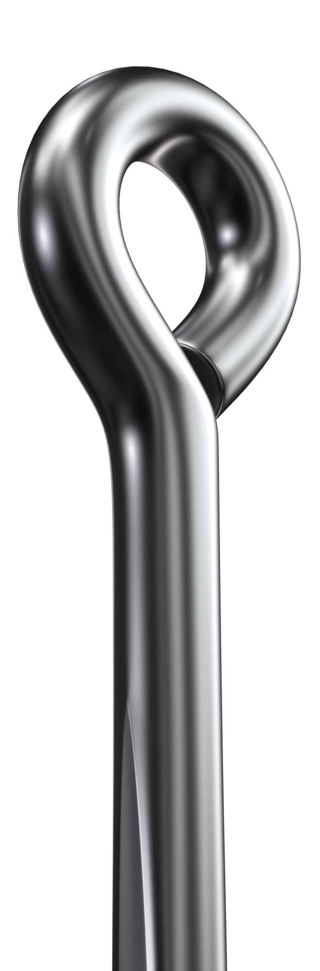 Sike Inline Circle Hook - Black Nickel CS2043
